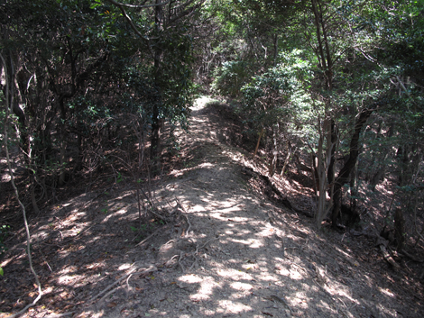 20140426hike (125)